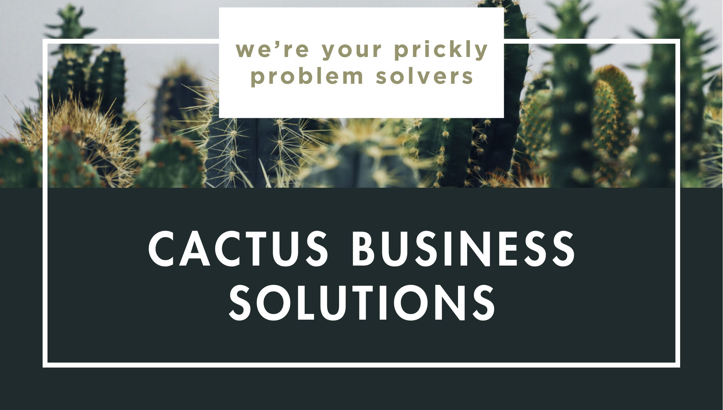 A variety of cacti appear in the background with text overlay: "we’re your prickly problem solvers" and "Cactus Business Solutions" in bold white letters.
